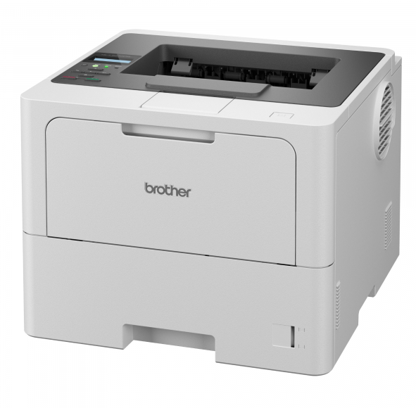 Screenshot 2024-11-30 at 22-29-29 Brother HL-L6210DW Laser printer grey - office supplies Thüringen.png
