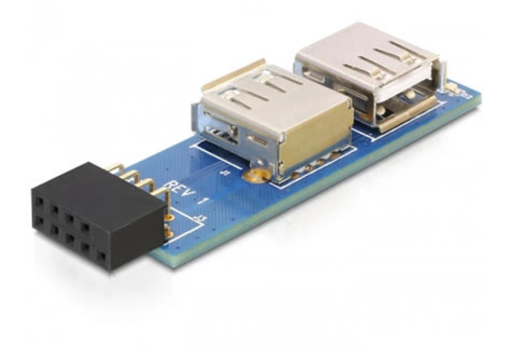 delock-usb-pinheader-female-to-2-x-usb-2.0-female-41820-64136-1-3.webp