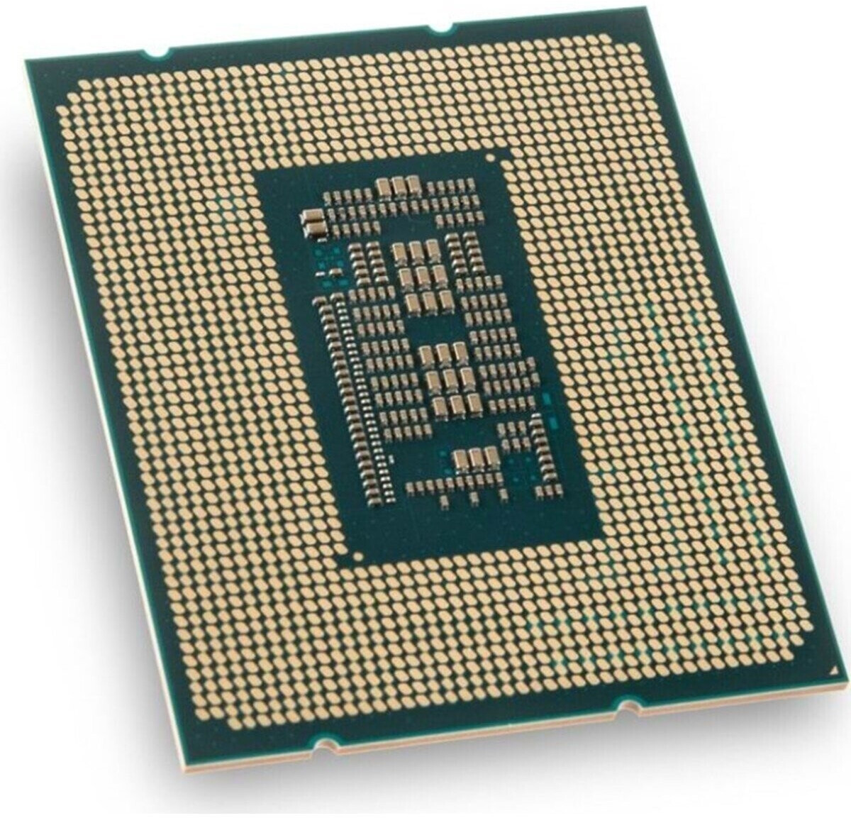 5425425432.jpg
